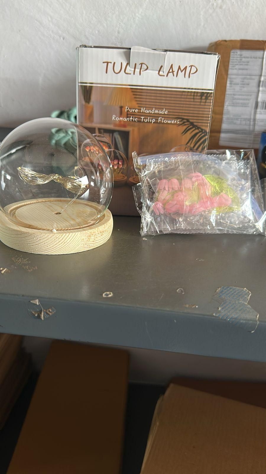 Round Tulip Light - Pick Baye