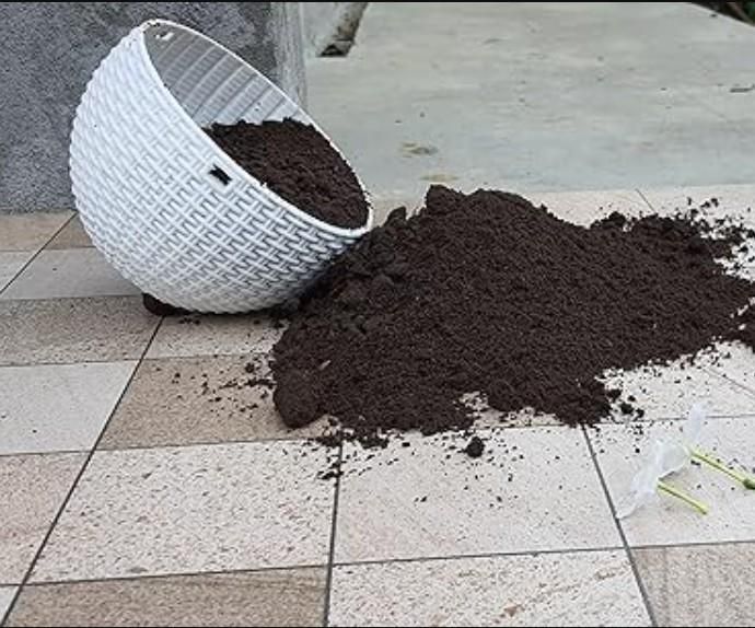 Organic Vermicompost 500gm - Pick Baye