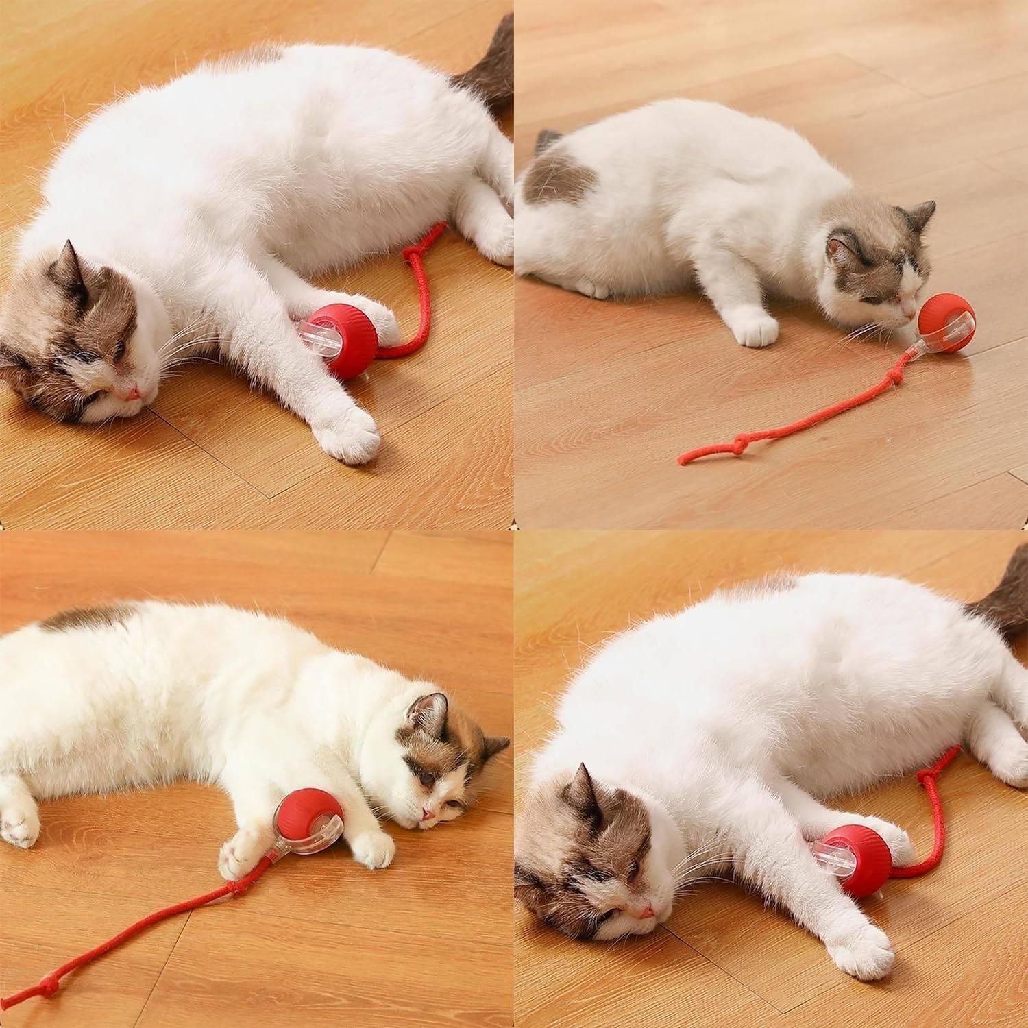 Viral Rolling Ball - Interactive Cat Toy - Pick Baye