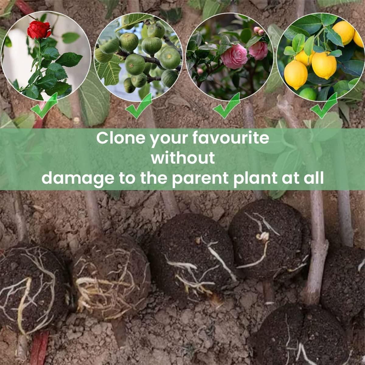 Rooting Balls Pack of 5 with Pot Mix Combo - Pick Baye