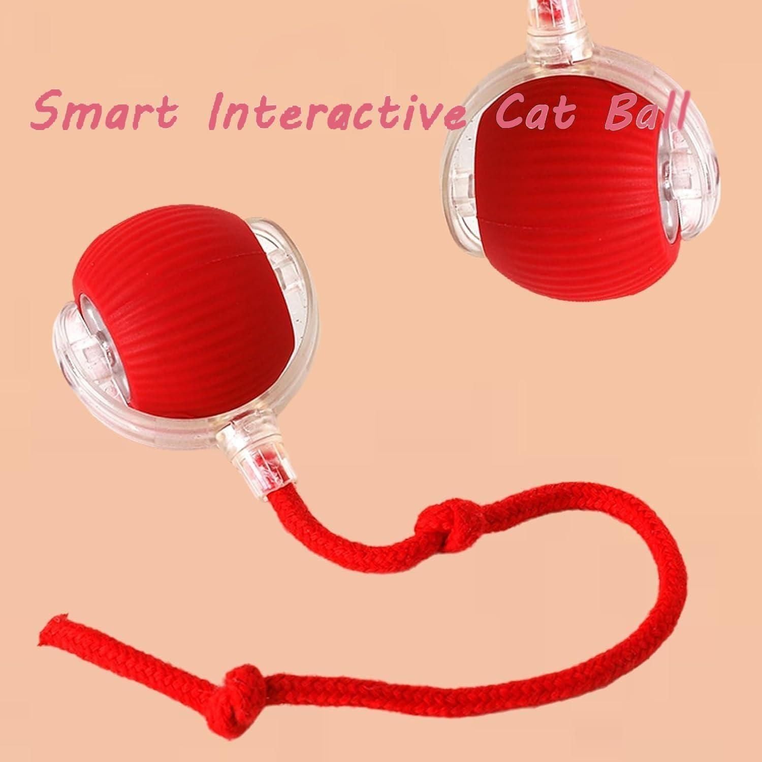 Viral Rolling Ball - Interactive Cat Toy - Pick Baye