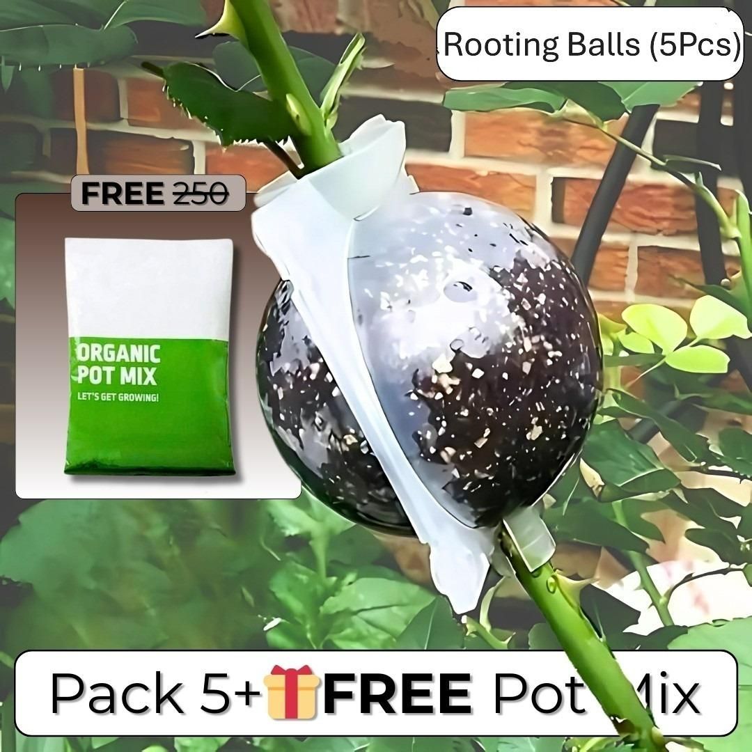 Rooting Balls Pack of 5 with Pot Mix Combo - Pick Baye
