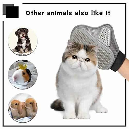 Stainless Steel Pet Grooming Glove - Pick Baye