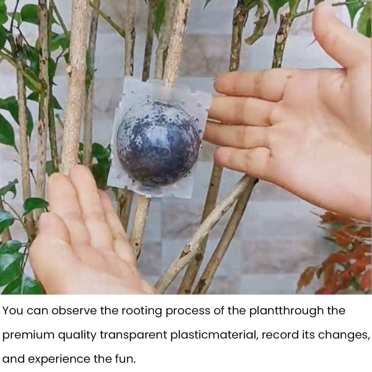 Rooting Balls Pack of 5 with Pot Mix Combo - Pick Baye