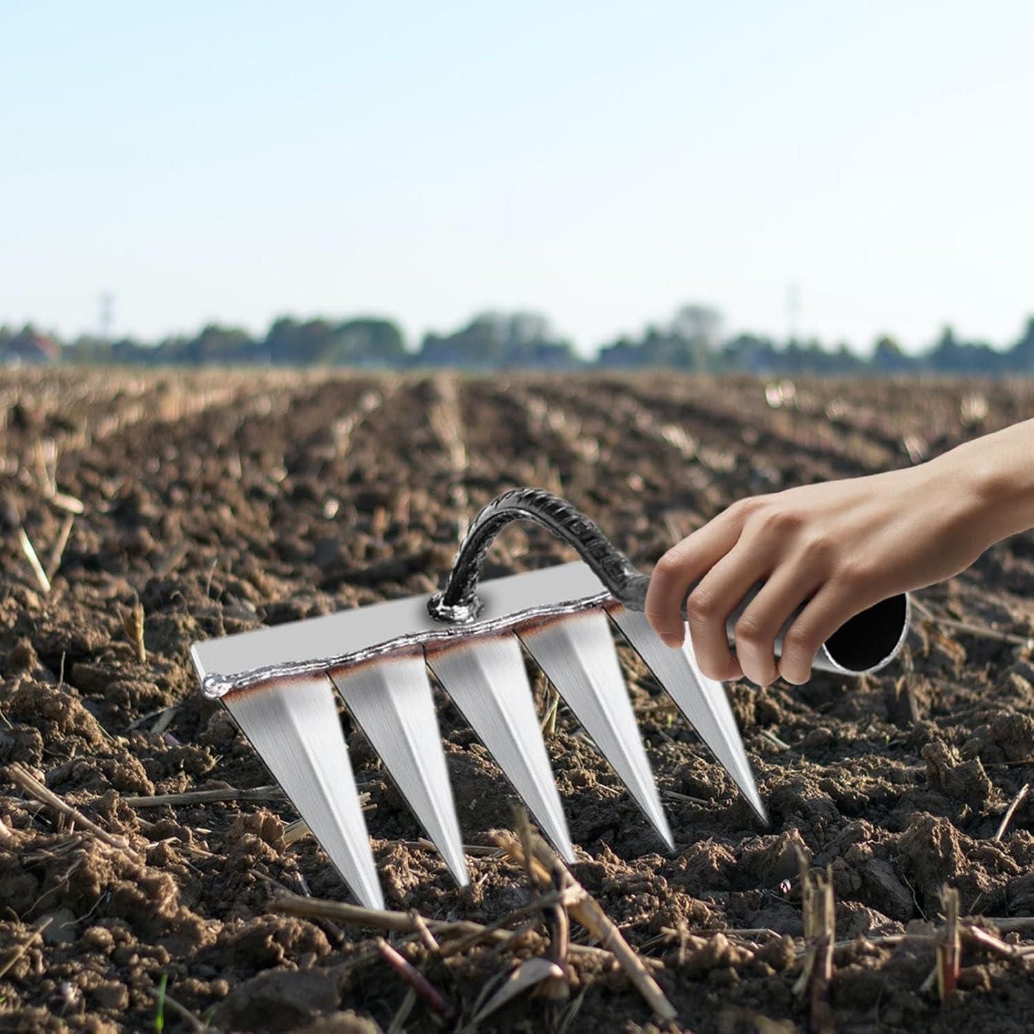 5 Teeth Carbon Steel Garden Weeding Tool - Pick Baye