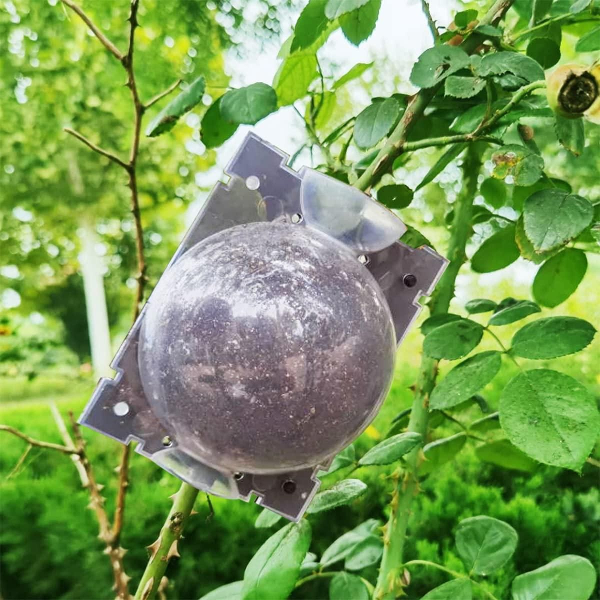 Rooting Balls Pack of 5 with Pot Mix Combo - Pick Baye