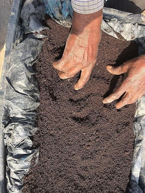 Organic Vermicompost 500gm - Pick Baye