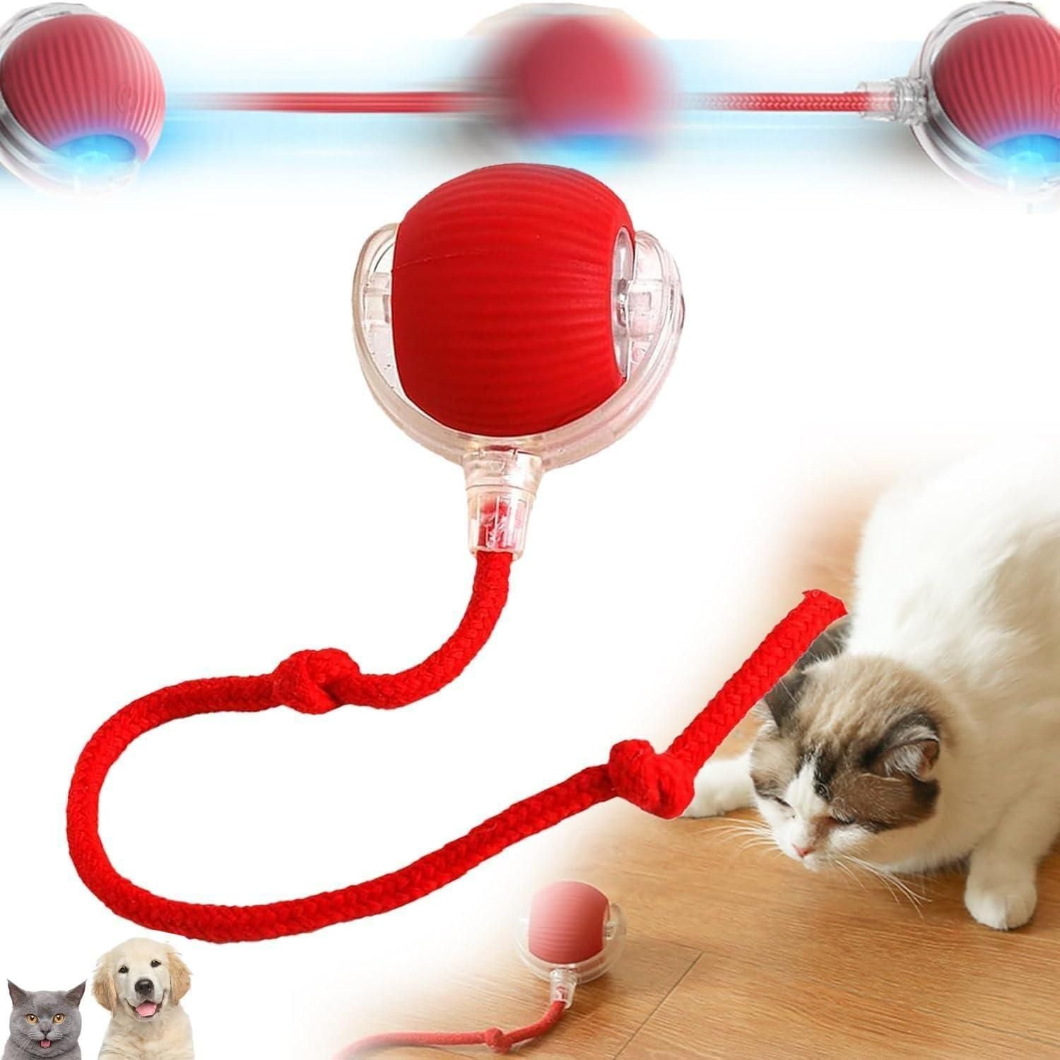 Viral Rolling Ball - Interactive Cat Toy - Pick Baye