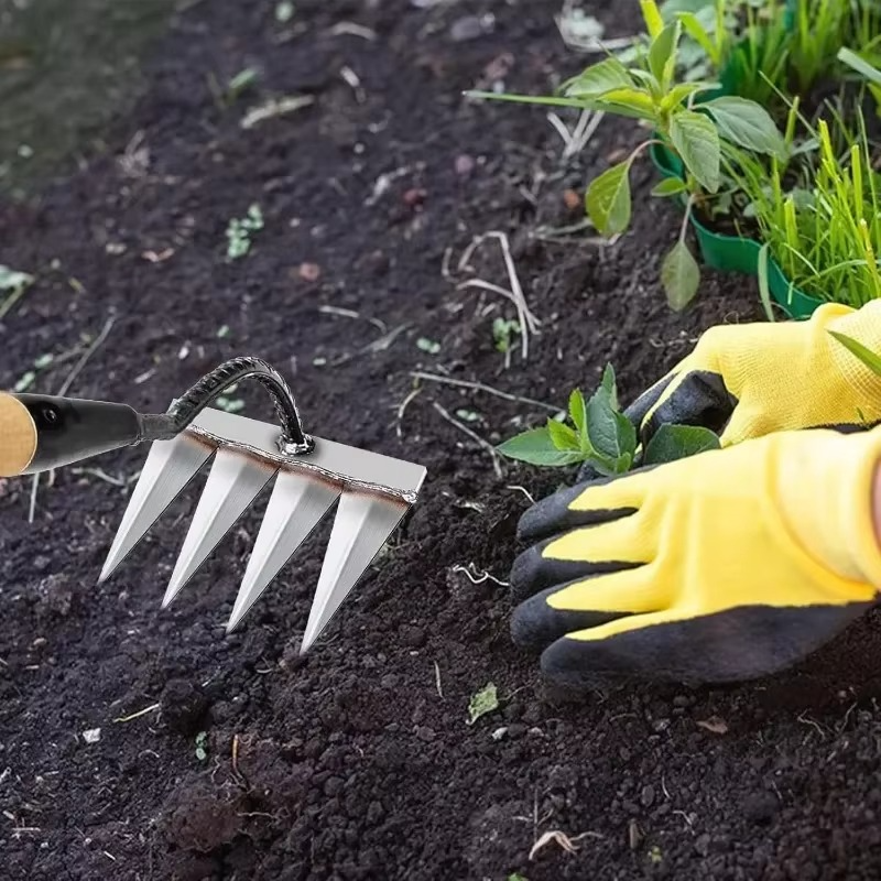 5 Teeth Carbon Steel Garden Weeding Tool - Pick Baye