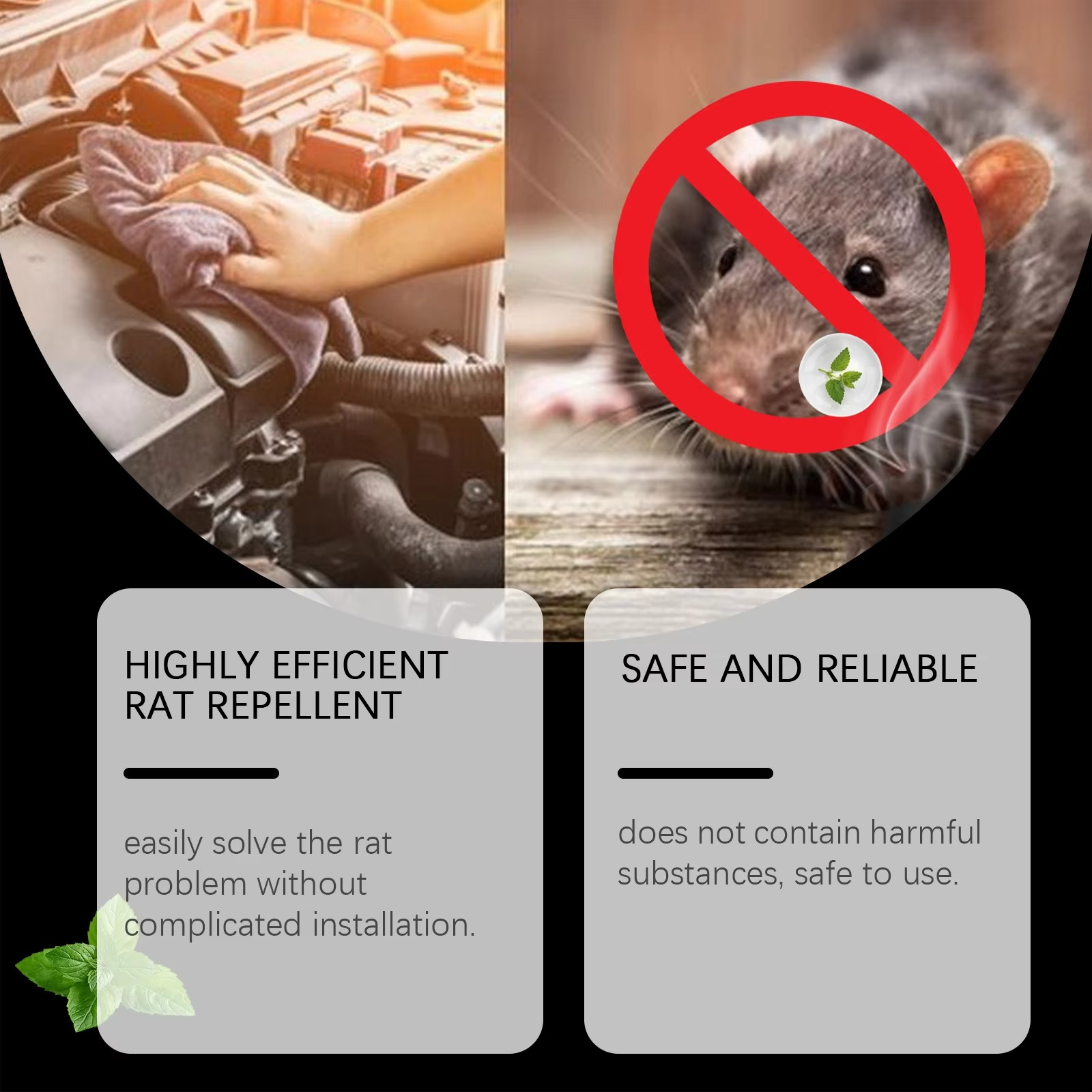Rat Repellent Spray for Car