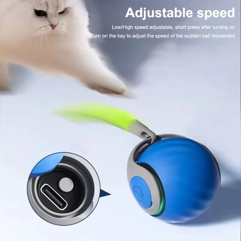 Rolling Ball Cat Toy - Pick Baye