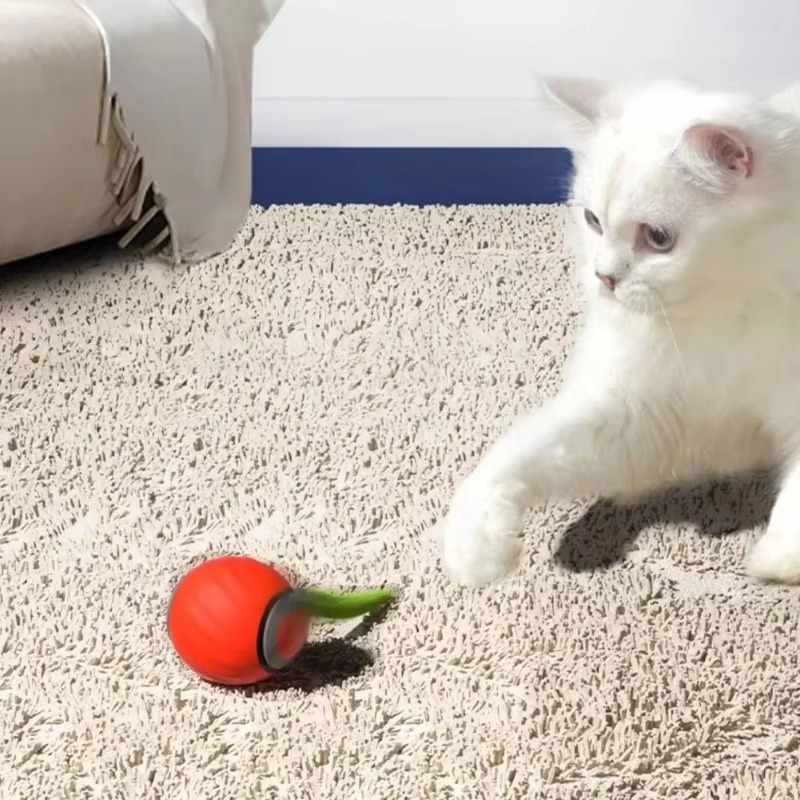 Rolling Ball Cat Toy - Pick Baye
